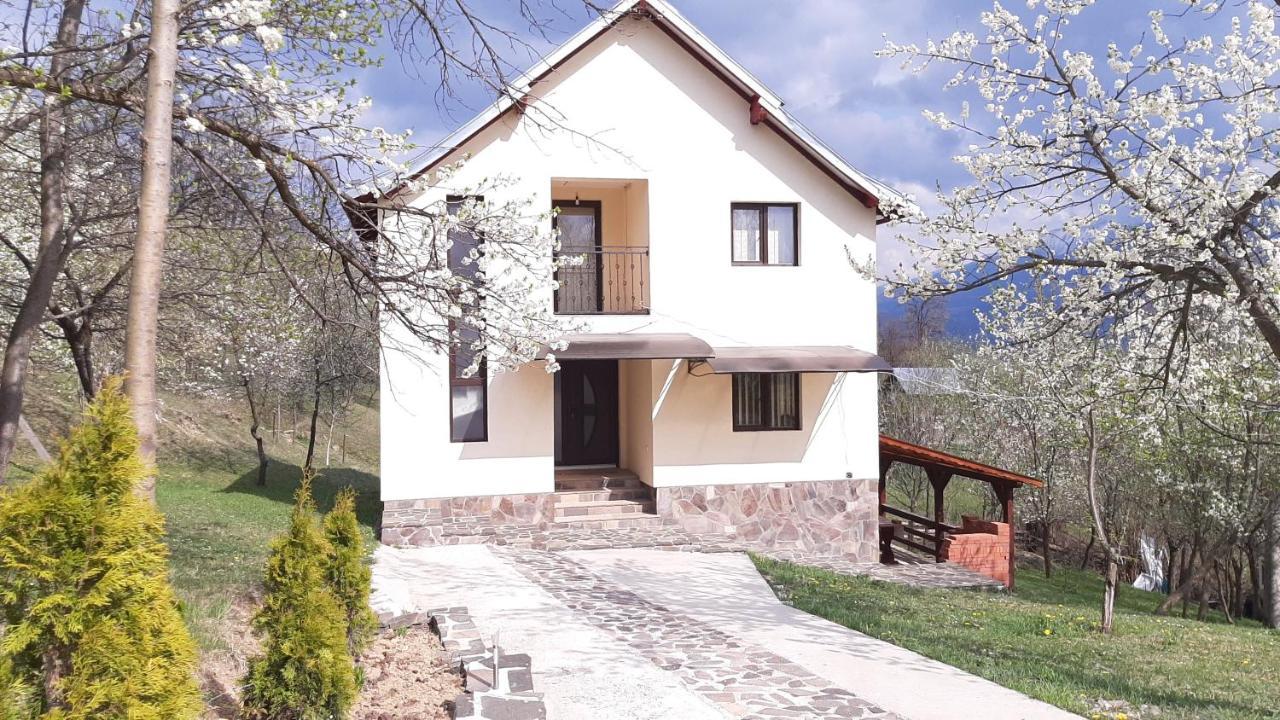 Casa Flutar Villa Moisei Exteriör bild