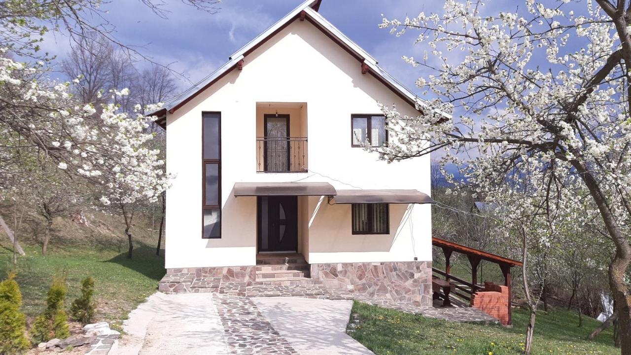 Casa Flutar Villa Moisei Exteriör bild
