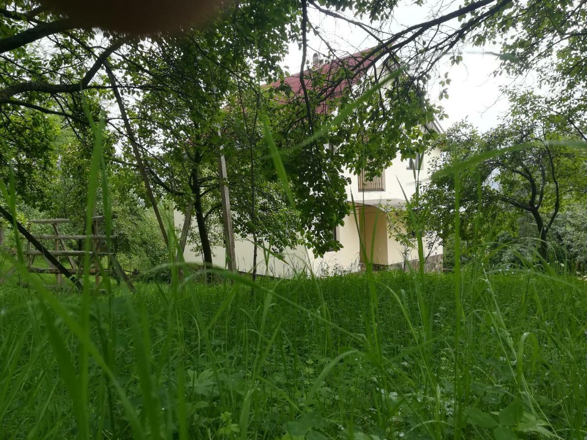 Casa Flutar Villa Moisei Exteriör bild