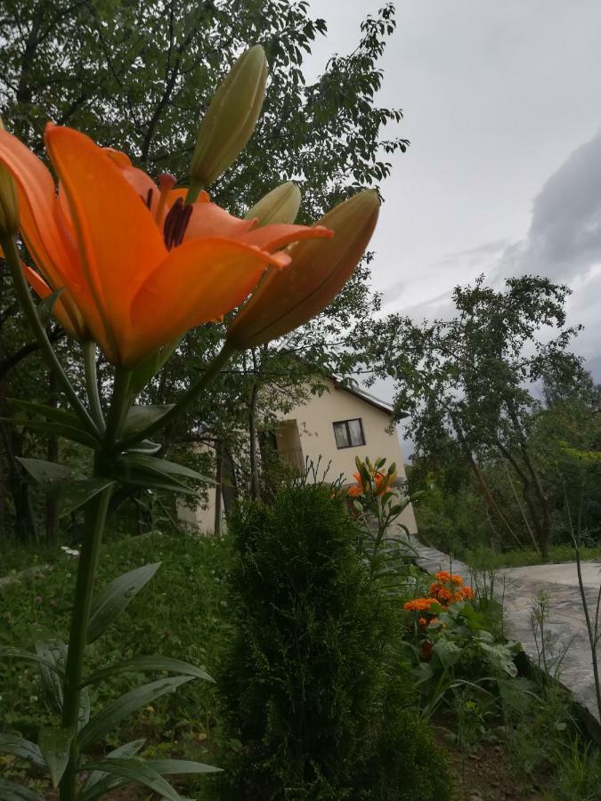 Casa Flutar Villa Moisei Exteriör bild