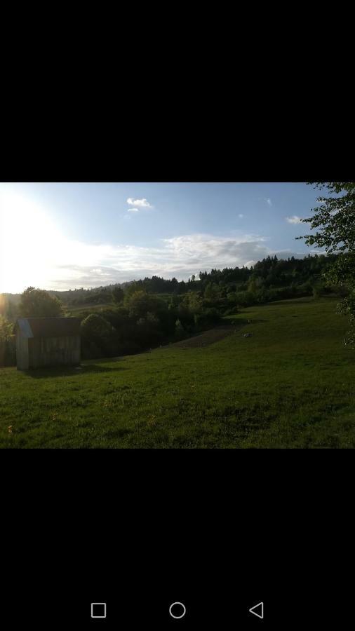 Casa Flutar Villa Moisei Exteriör bild